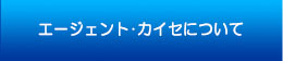 エージェント・カイセについて